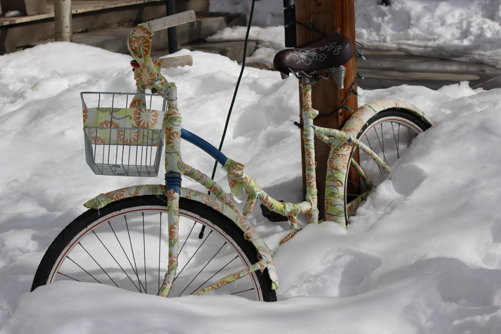 snow bike