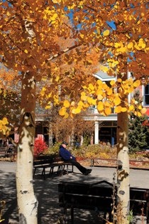 Autumn in the Blue River Plaza.  Photo by Mark Fox